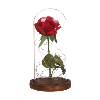 LED Skaistums Roze un Zvērs Akumulatora Barošanu Sarkanu Ziedu, Stīgu Gaismas Galda Lampas Romantisku Valentīna Dienā, Dzimšanas dienā, Mātes Dienā 