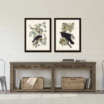 Audubon Raven un Vārna Putnu Kolekcija Zilais Putns Botāniskais Audekls Mākslas Drukāt Gleznu Plakātu Sienas Attēlu Office Home Decoration