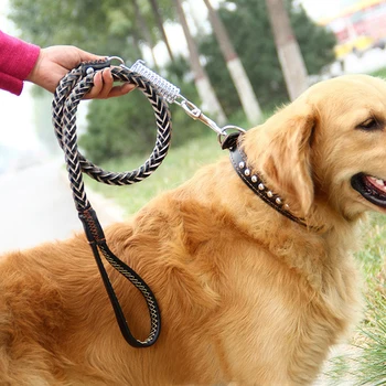 Suns Pavadā Regulējams pret Nodilumu Izturīgs Pet Siksna Suņu Siksna Suņu preces ar kaklasiksna