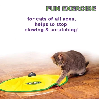 WAMMIKI Pet izglītības rotaļlieta, interactive play plāksnes pet četru apgriezienu regulēšana elektriskā kaķis rotaļlietas funny kaķis vinilplašu pet piegādēm