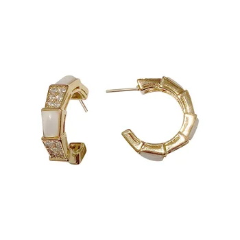 Luksusa čūska kaulu korpusa sieviešu auskaru auss gredzens S925 adatu stud modes rotaslietas eardrop auskars modes aksesuāri sievietēm