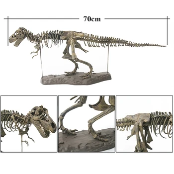 Lielu Dinozauru Fosilo Galvaskauss Dzīvnieku Modelis Rotaļlietas Tyrannosaurus Rex Apkopot Skelets Modeļa Interjera Priekšmeti Dekorēšanai