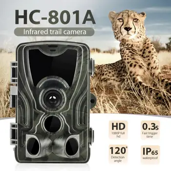 HC801A Medību Camera 16MP 32GB/64GB Taka Kamera IP65 Foto Lamatas 0.3 s Izraisīt Laiku Savvaļas Fotokameras 1080P ūdensizturīgs IS Taka Droši
