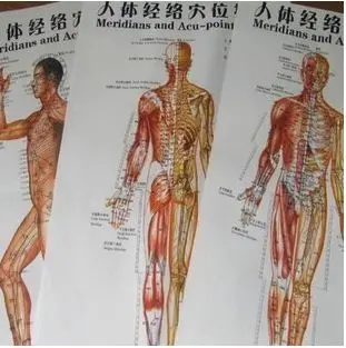 3pcs/komplekti Cilvēku Meridian Akupunktūras Punktu Veselība Terapija, ārstnieciskā Masāža Akupunktūra Acupoints Karti, Ķīniešu-angļu