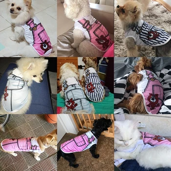 Suns Mētelis, Jaka Maziem Suņiem Apģērbs Vasaras Gudrs Lētu Suņu Apģērbu Maziem Suņiem Chihuahua Pet T Krekls Kaķu Kostīmi