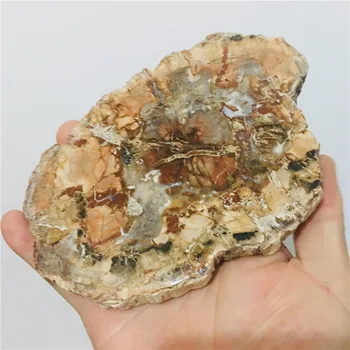 Dabas Pārakmeņoto koka fosilā oriģinālās akmens neapstrādāts kalnu Kristāls Kvarca Minerālu Paraugu Dziedināšanas Reiki mājas Dekoru