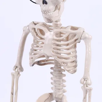 Posable Skelets Halloween Dekoru Drausmīgs Cilvēks Kaulu Rāpojošs Partijas Apdare
