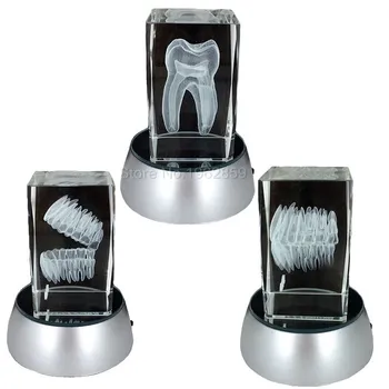 Zobu 3D Zobu Modelis kristālam Stāvēt Ar LED Lampu Stāvēt Raksturs Zobu Krāsains Bērnu Mutes Suvenīru, Dāvanu Decorarion