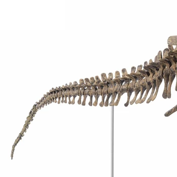 Lielu Dinozauru Fosilo Galvaskauss Dzīvnieku Modelis Rotaļlietas Tyrannosaurus Rex Apkopot Skelets Modeļa Interjera Priekšmeti Dekorēšanai
