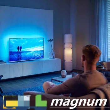 Magnum Global Tv Ekrāna Piederumi
