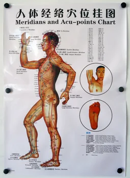 3pcs/komplekti Cilvēku Meridian Akupunktūras Punktu Veselība Terapija, ārstnieciskā Masāža Akupunktūra Acupoints Karti, Ķīniešu-angļu