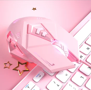 Meitenes Cute Rozā Peles Spēle, Kas Veltīta Var Izmantot Darbvirsmas Datoru, Notebook Vadu