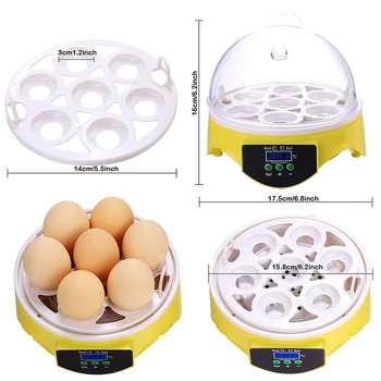 7 Olas, Vistas Putnu Inkubatoru Olām, Automātiskais Inteliģentas Kontroles Inkubācijas Rīku Sadzīves Dzīvnieku Vistas Rotājumi