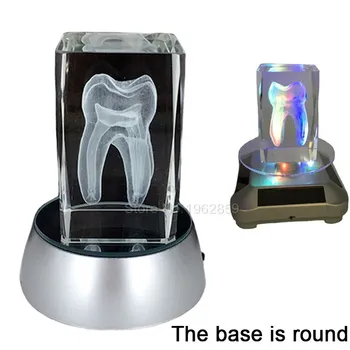 Zobu 3D Zobu Modelis kristālam Stāvēt Ar LED Lampu Stāvēt Raksturs Zobu Krāsains Bērnu Mutes Suvenīru, Dāvanu Decorarion