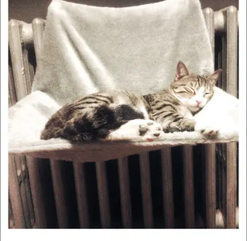 Kaķis Gultas Noņemams Palodze Kaķi Radiatoru Gulta Guļamtīkls Atpūtas Sēdeklis Lounge Pet Kitten Karājas Gulta Mājīgu Kaķis Guļamtīkls Pet Sēdeklis