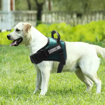 Pet Suns Siksnas Atstarojošs Regulējams Vestes Suņiem Iejūgs Husky Labradora Ganu Suns Mazs Vidējs Liels Suņu Piederumi